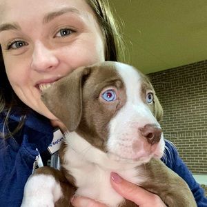 Meet your Posher, Alexis